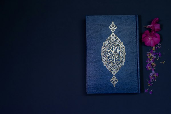 Quran Translation and Tafseer